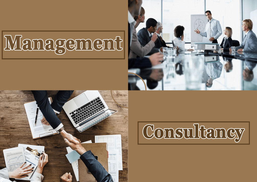MANAGEMENT CONSULTANCY